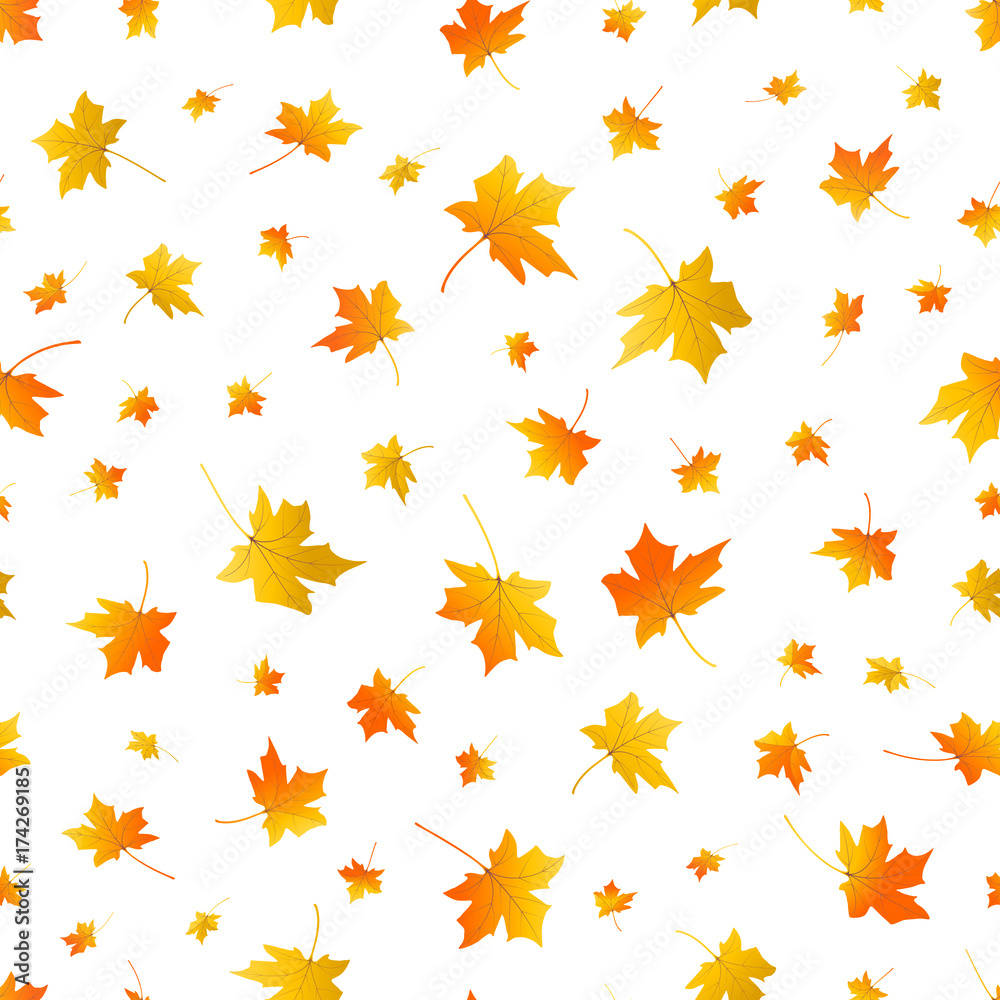 Autumn leaves. Seamless pattern. Background with fall maple leaves. Flying foliage on white. Autumn vector design Autumn leaves. Seamless pattern. Background with fall maple leaves. Flying foliage on white. Autumn vector design