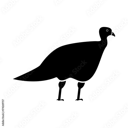 Turkeycock  black icon .