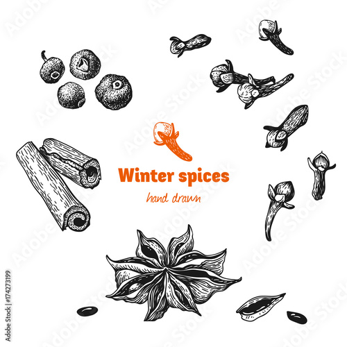 Winter spices isolated on white vector hand drawn illustration