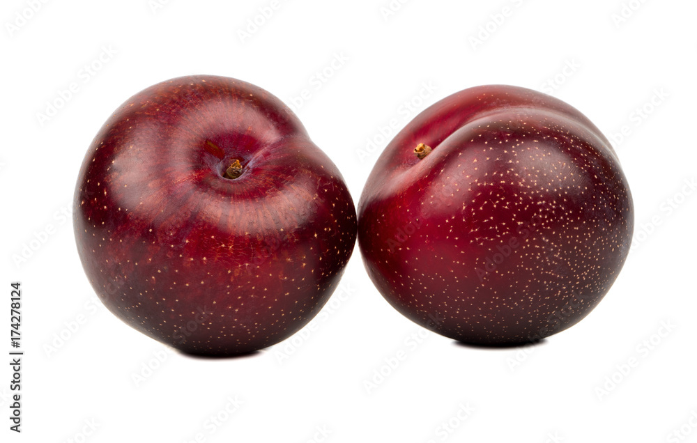 Obraz premium Two big red plums