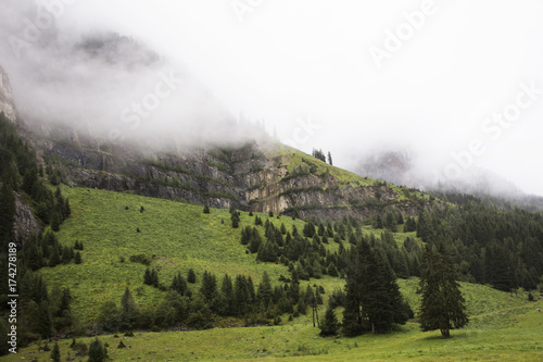 Forest and mountain in Kaunergrat nature park in Tyrol, Austria