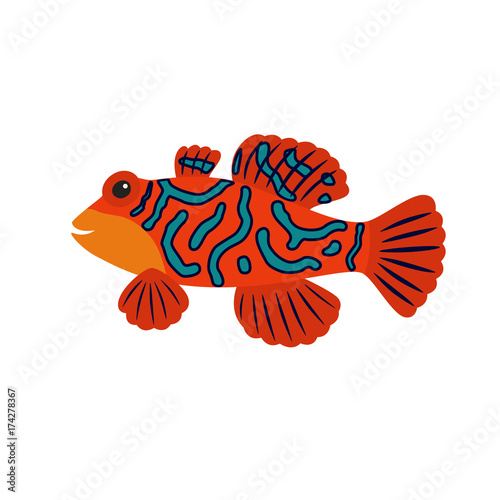 Cartoon mandarin fish