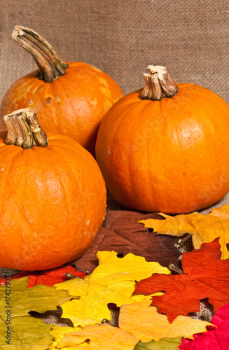 Autumn Oktoberfest display of three ripe, local pumpkin and dried maple leaves on a burlap table cloth