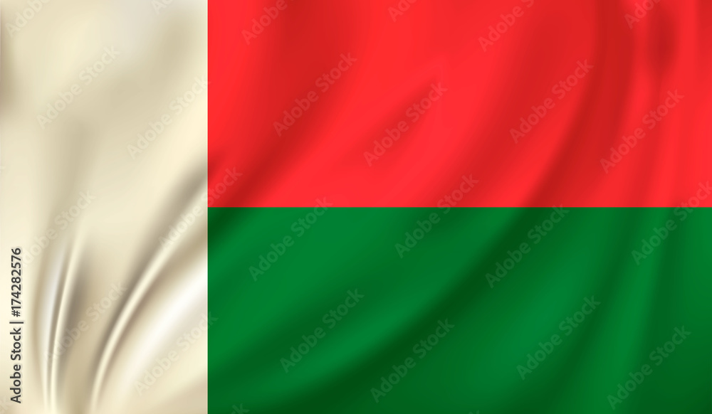 waving flag Madagascar