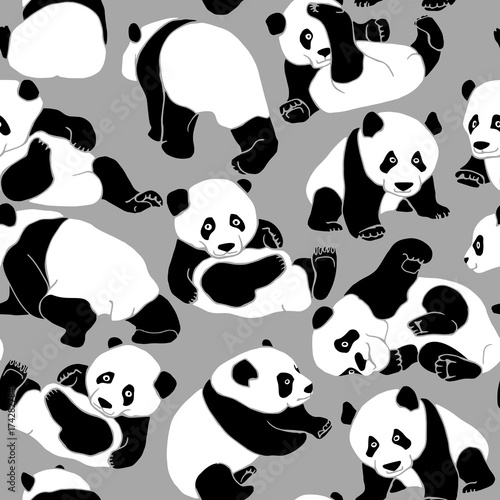 Seamless pattern with black and white asian bear (panda) on a gray background. Vector illustration.
