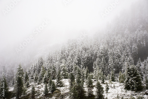 View Landscape snow snowing covered on alpine tree at top of mountain in Kaunergrat nature park © tuayai