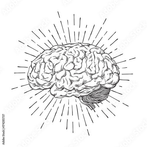 Obraz na płótnie Hand drawn human brain with sunburst anatomically correct art