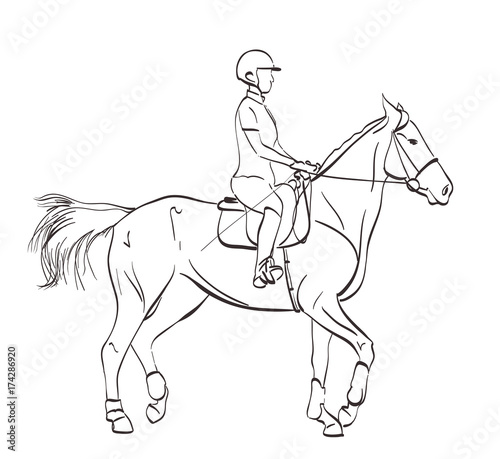horse riding illustration. line art drawing on white. equine sports theme vector
