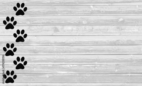    Black paw prints animal dog or cat on white wooden background texture with copy space for text.    