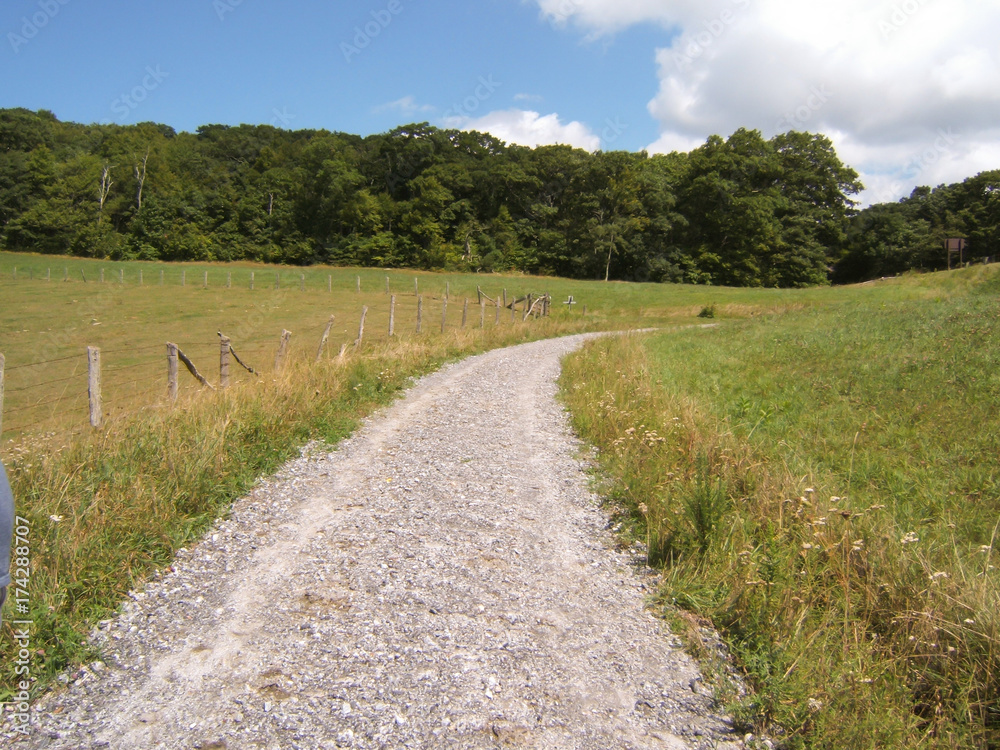 Narrow Country Road