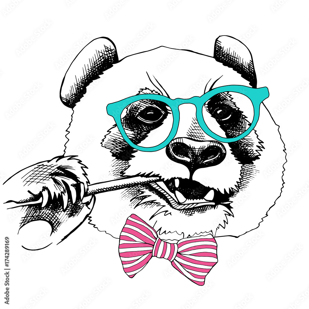 Naklejka premium Portret pandy w okularach z krawatem. Ilustracji wektorowych.