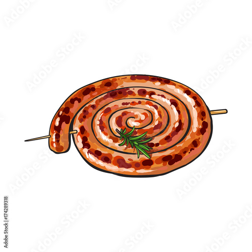 Freshly grilled, barbequed Cumberland sausage rolled in coil, sketch style vector illustration on white background. Realistic hand drawing of grilled, fried, barbequed Cumberland sausage