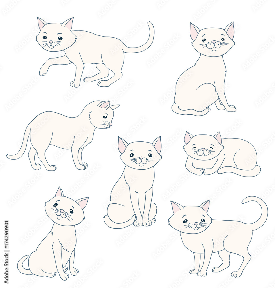 white cartoon cat in various poses vector illustration