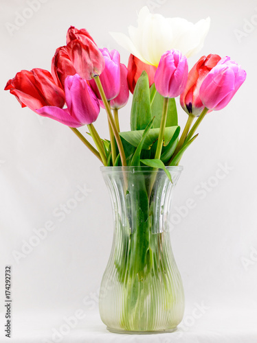 Fototapeta Naklejka Na Ścianę i Meble -  Vase of Tulips 02