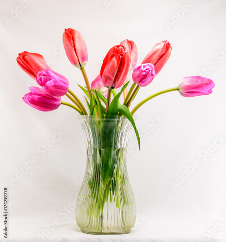 Vase of Tulips 01