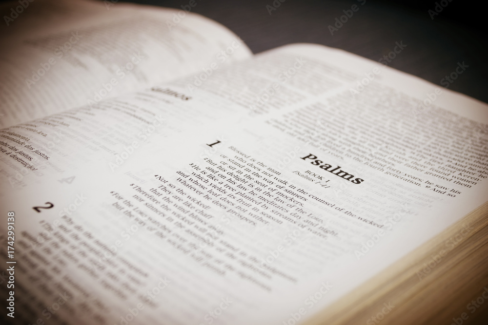 Bible - Psalms