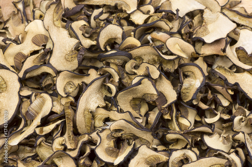 Detailed photos of dried mushrooms and boletus