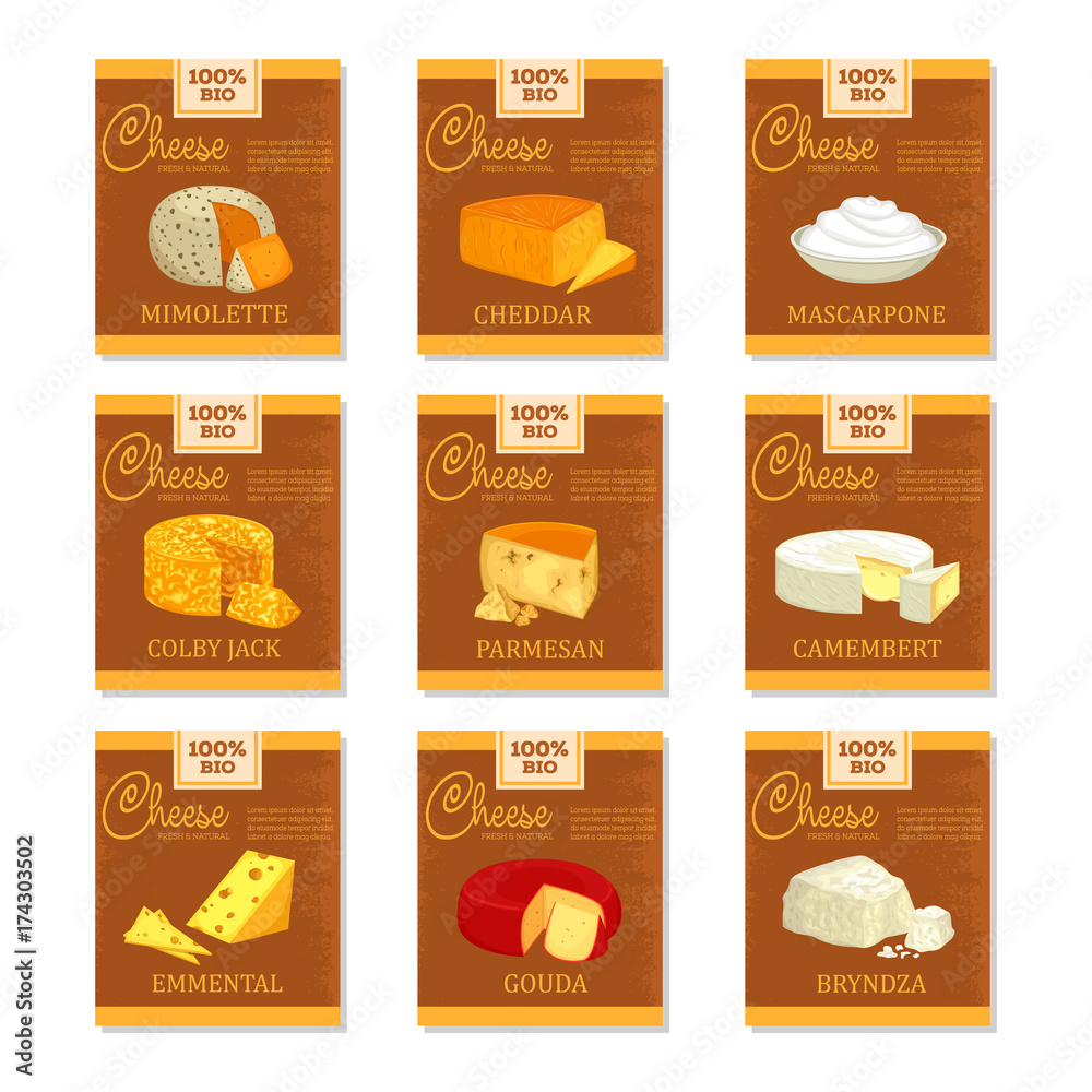 Cheese banners. Food and vegetarian nutrition