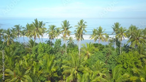 Wallpaper Mural AERIAL CLOSE UP Flying above lush palm tree canopy overlooking blue rippling ocean and beautiful volcanic sandy beach on paradise island Bali. Palms growing on coast. Splashing sea waves washing shore Torontodigital.ca