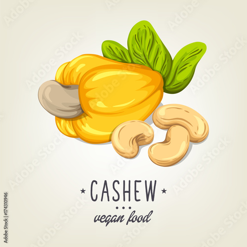 Colourful cashew icon isolated on background. Vector sketch of realistic nut with leaves and seeds. Drawn vegan plant good for recipe book, booklet, card, menu or banner design. photo