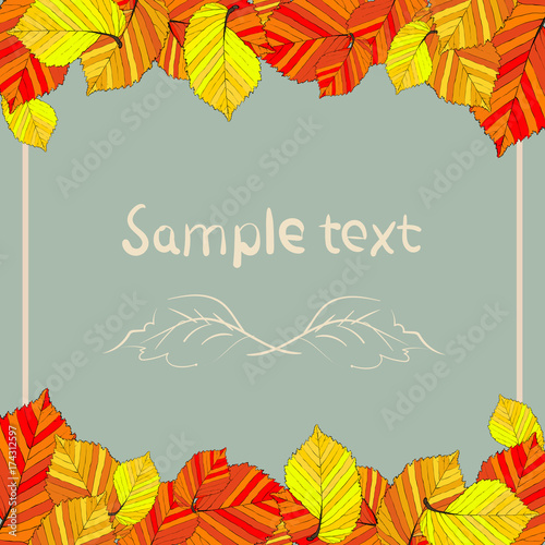 autumn leaves set, isolated . simple cartoon flat style, vector illustration.