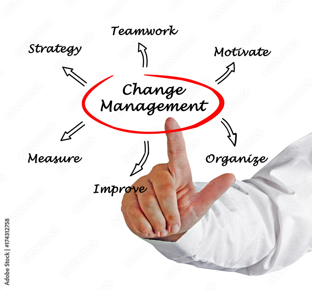 Change Management Strategy Change Management Strategy
