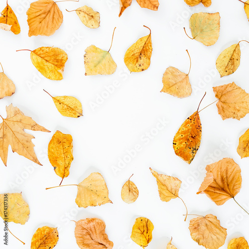 Autumn pattern. Frame made of autumn leaves on white background. Flat lay, top view