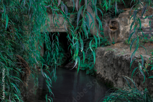Puerta en el río