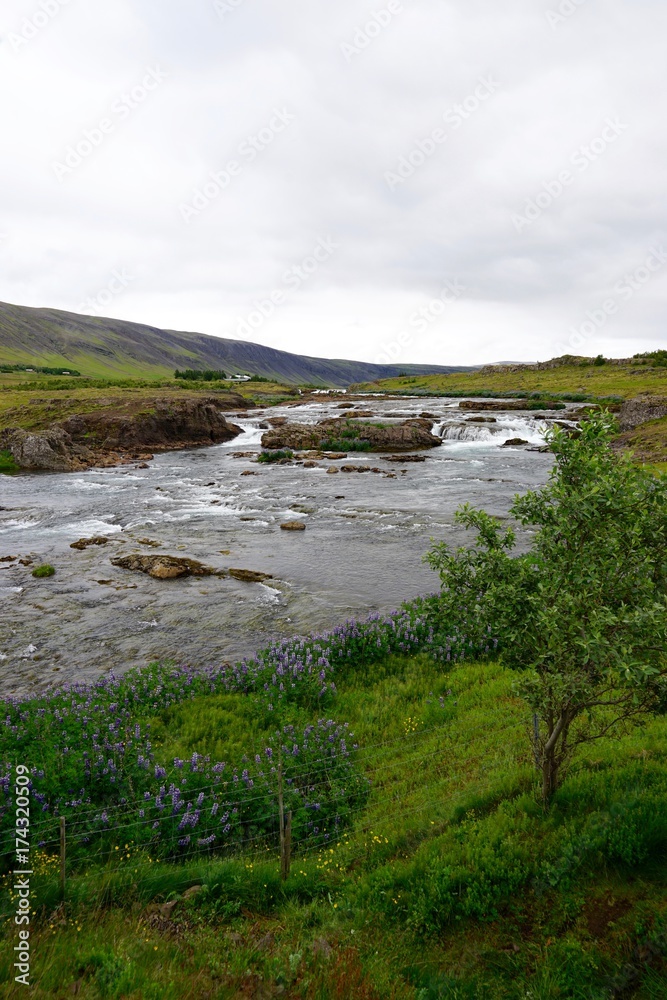 Landschaft am Hvalfjörður (Walfjord) in Islands Süd-Westen