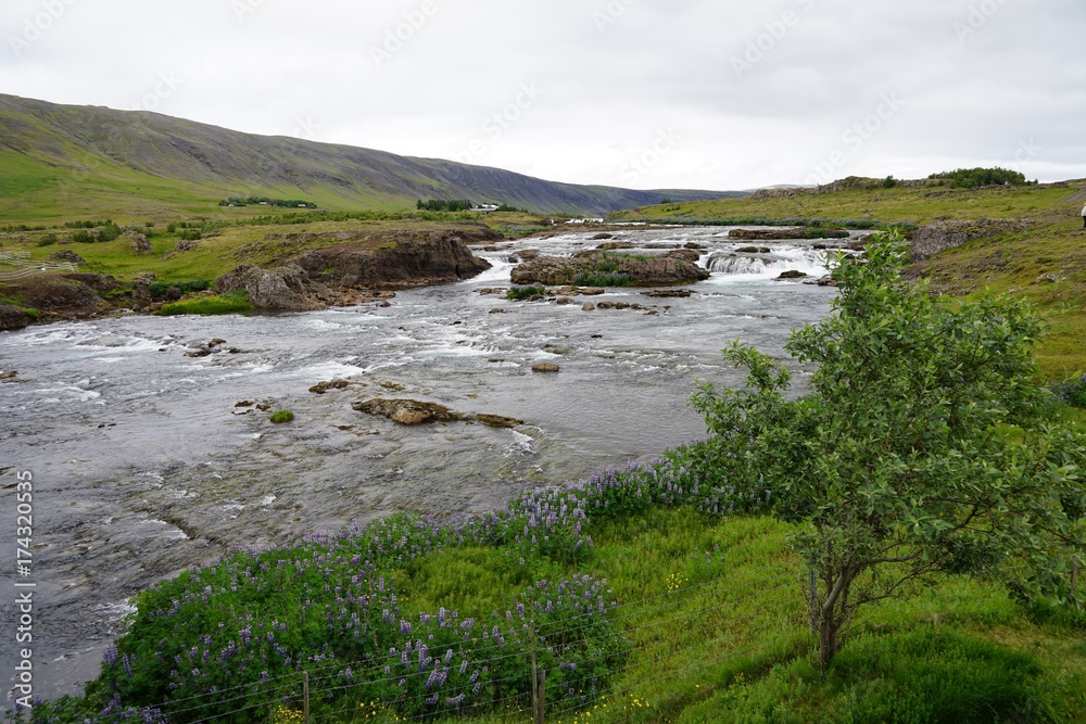 Landschaft am Hvalfjörður (Walfjord) in Islands Süd-Westen