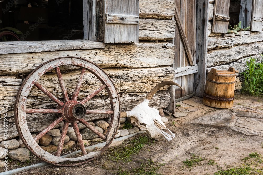 Wagon Wheel and Cow Skull