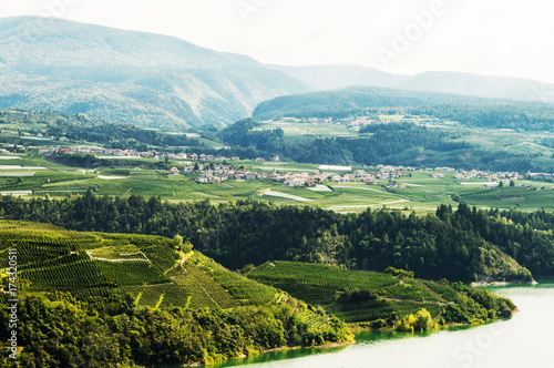 Panorama of Trentino Italy 26 Septembre 2017 a panorama of the mountains of Trentino  a plantation with vineyards