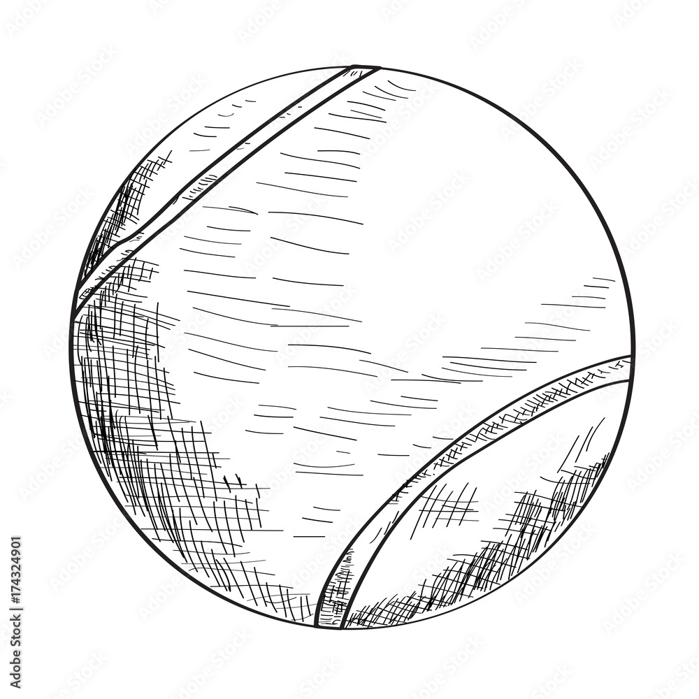 Isolated sketch of a tennis ball, Vector illustration Stock Vector