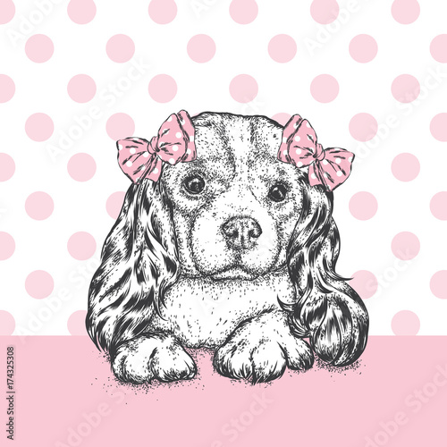 A beautiful dog with a bow on his head. Cute Spaniel. Purebred puppy. Vector illustration for a postcard or a poster  print for clothes and accessories.