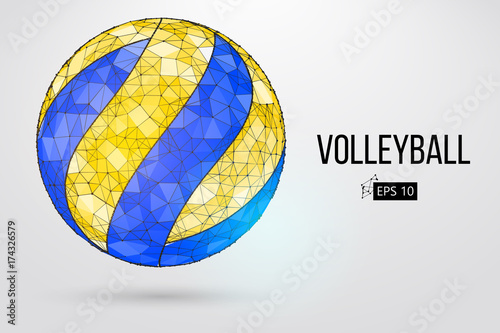 Silhouette of a volleyball ball. Dots, lines, triangles, text, color effects and background on a separate layers, color can be changed in one click. Vector illustration.