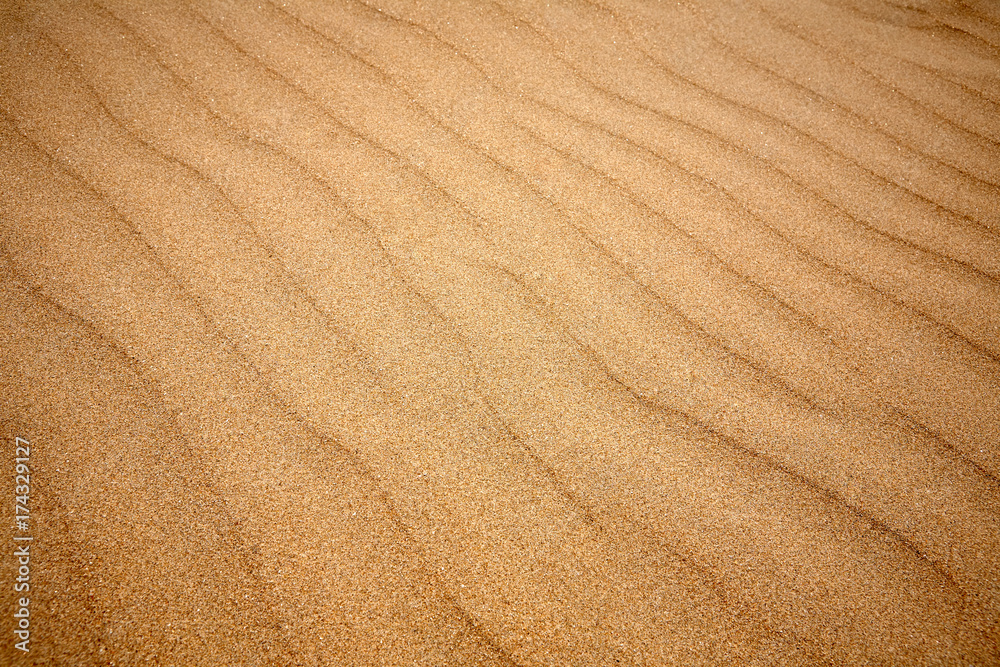 Background texture of sand dune. Nature background Background texture of sand dune. Nature background