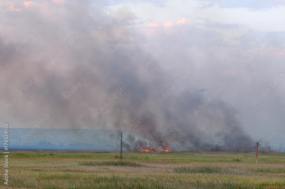 In the burning reeds. A helicopter tries to extinguish