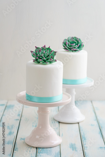Mini succulent wedding cakes