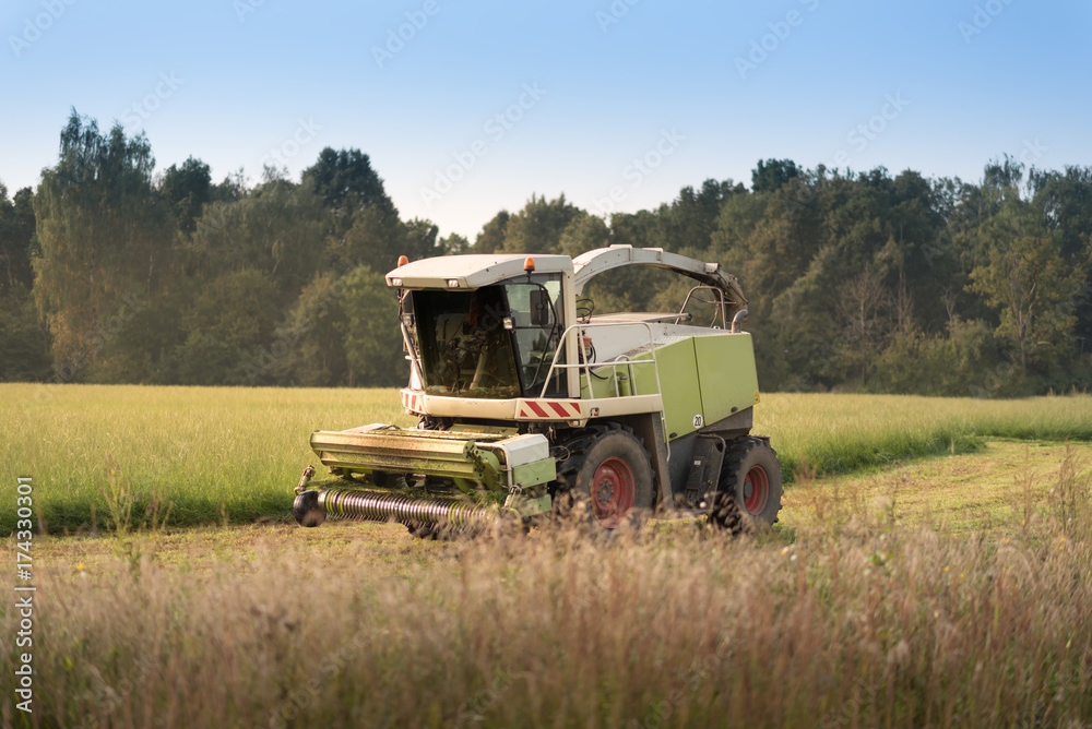 harvester in work on the green field under the blue sky and green forest