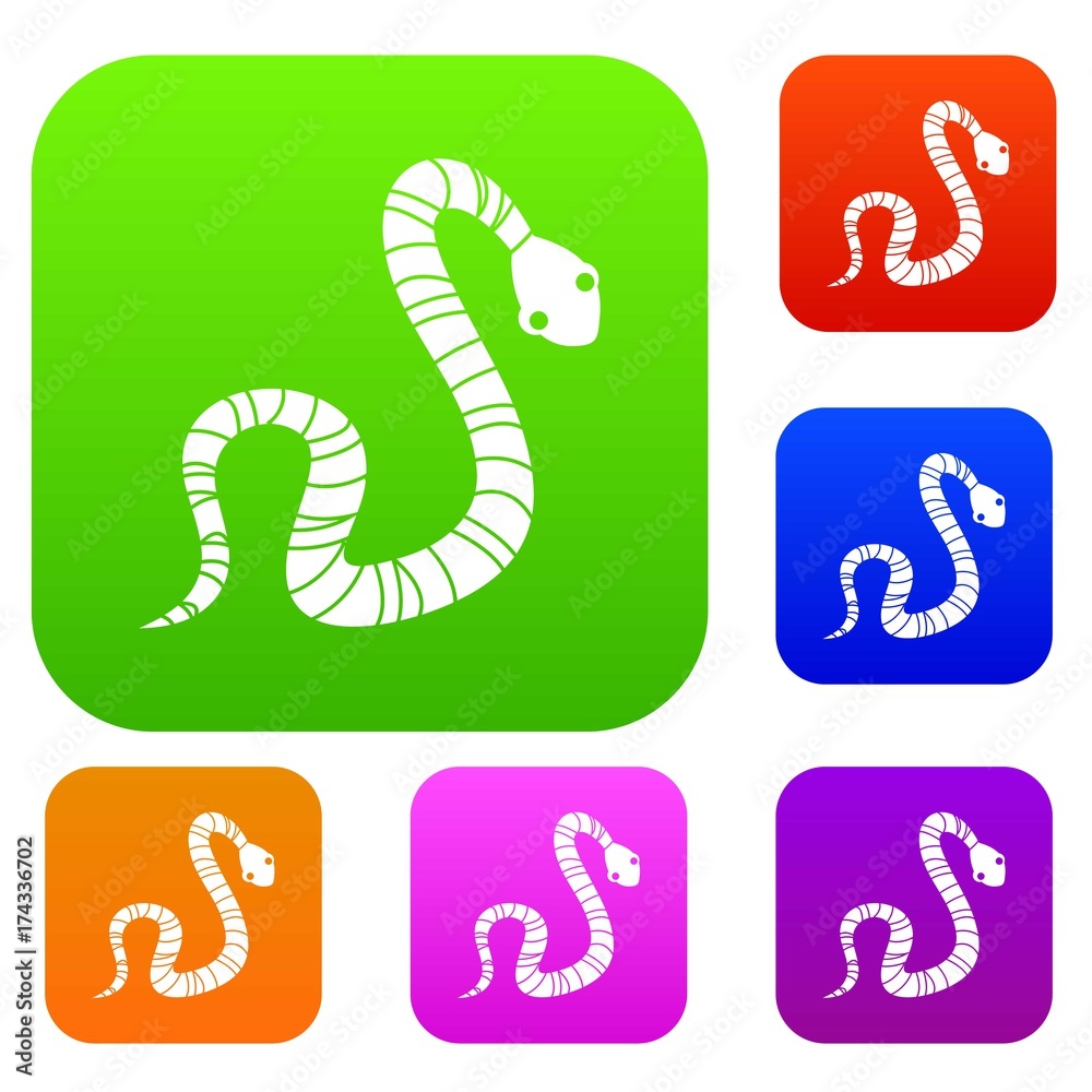 Striped snake set color collection Striped snake set color collection