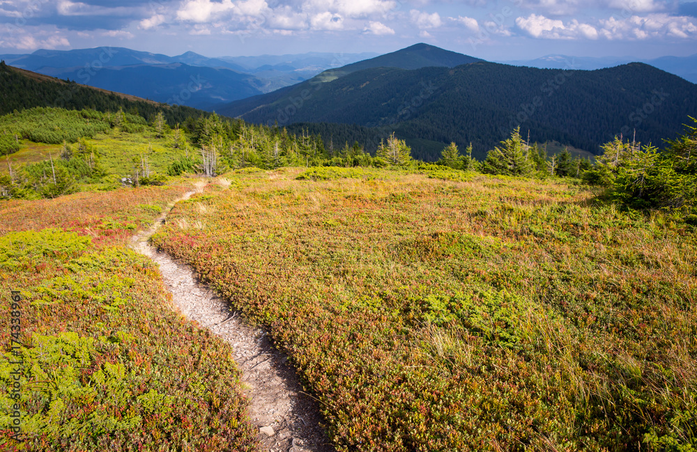 Fototapeta premium pathway in mountains