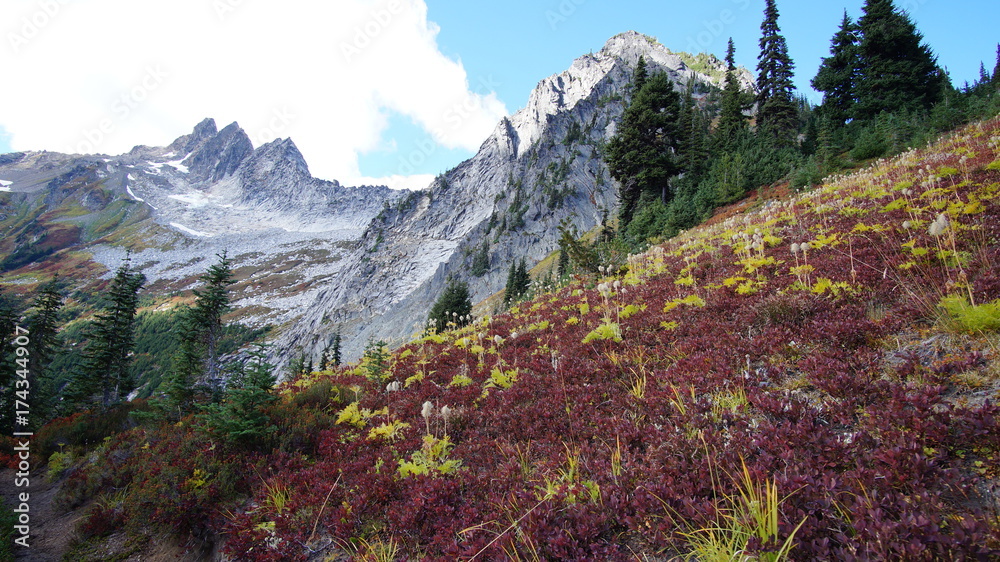 Fototapeta premium Fall in the Pacific Northwest