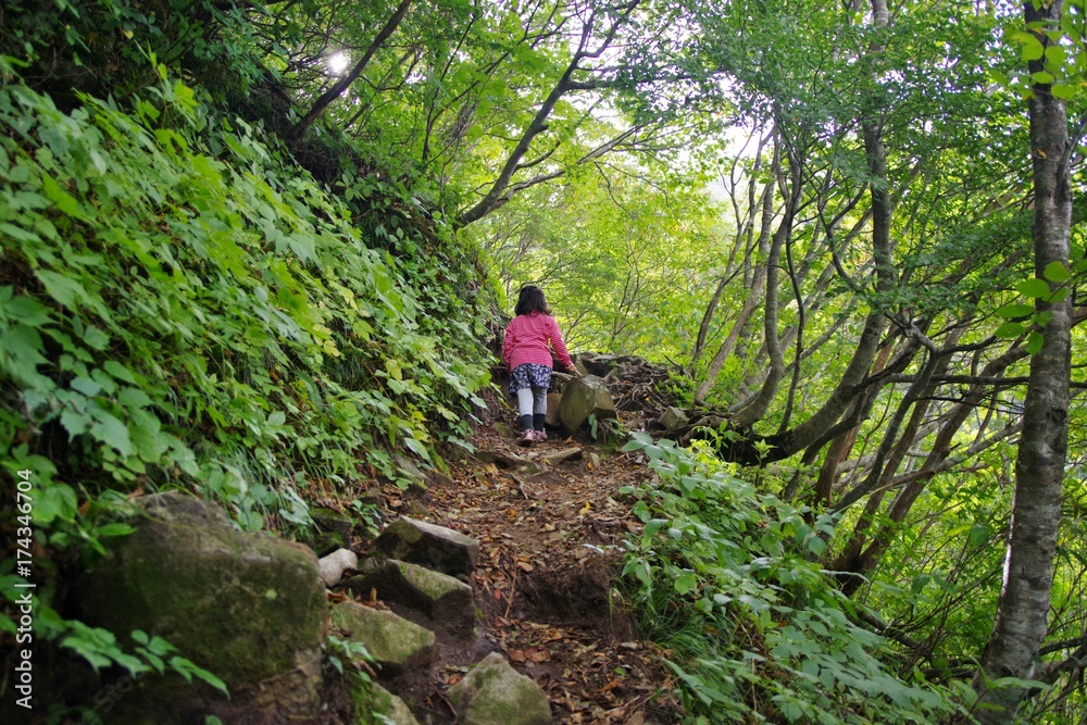 濃霧の登山道