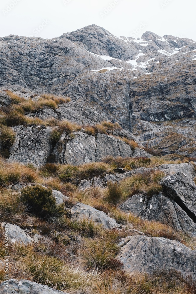 The wild untamed mountains of New Zealand The wild untamed mountains of New Zealand