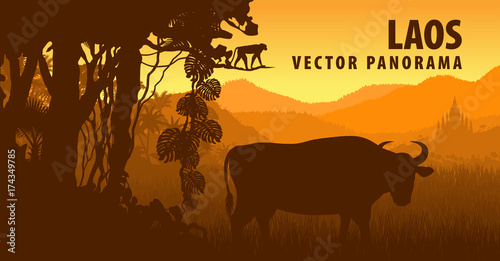 vector panorama of Laos with gaur and monkey in jungle