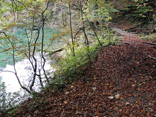 Autumn leaves,Croatian nature,canyon Kamacnik,Europe,4 photo