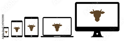 Geräte - Rinderkopf