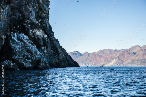 watching Bogoslova Island bird cliff colony, Russia photo