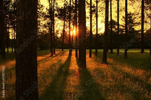Sunrise in Maine