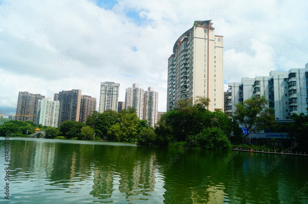 Beautiful lake views, shore plants, trees, etc Beautiful lake views, shore plants, trees, etc